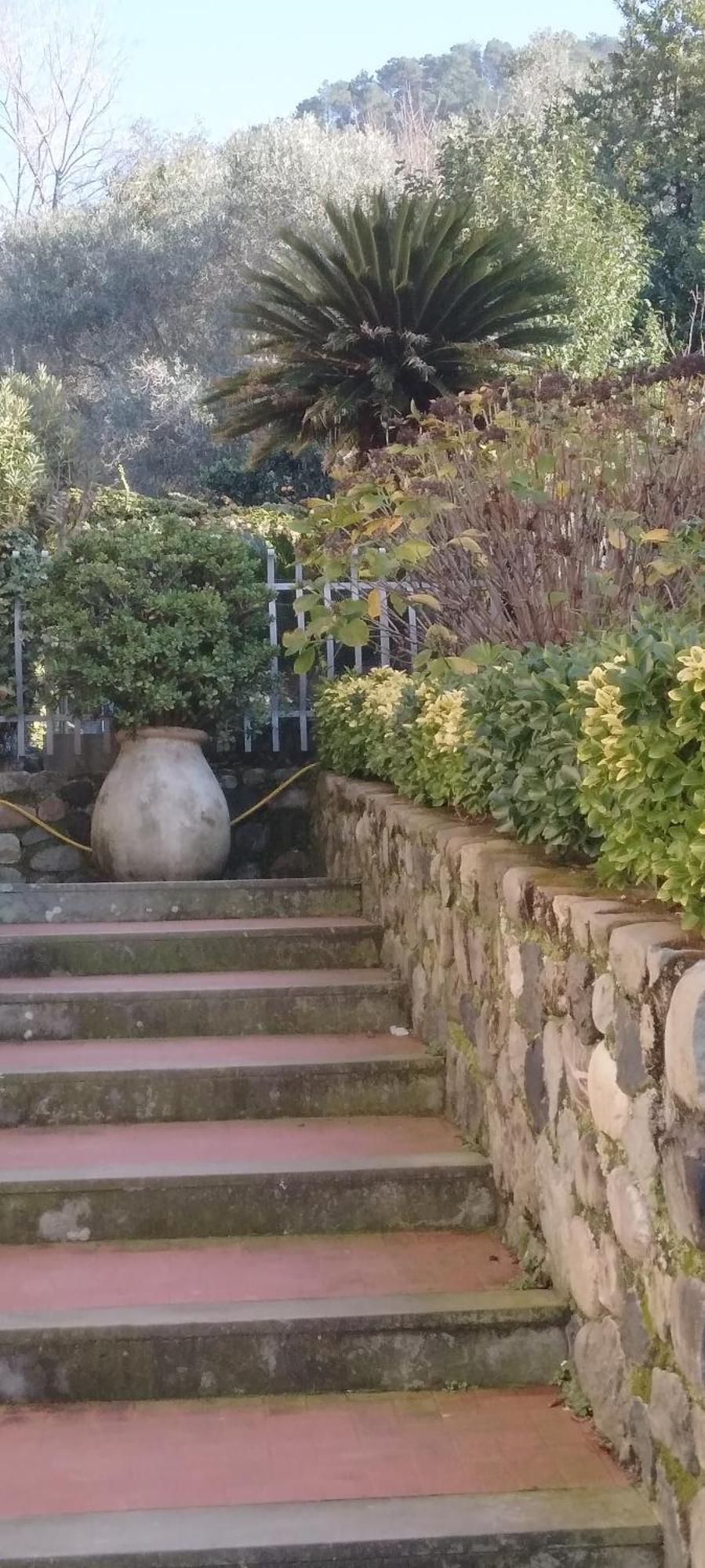 Oasi Felice Apartment Levanto Bagian luar foto